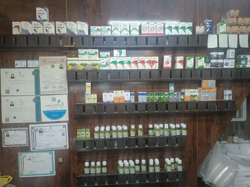 برگ سبز اهواز