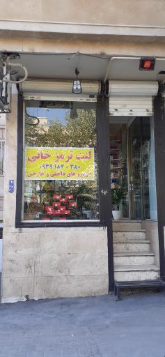 عکس لنت ترمز بادیگارد