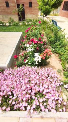 بوستان ستایش