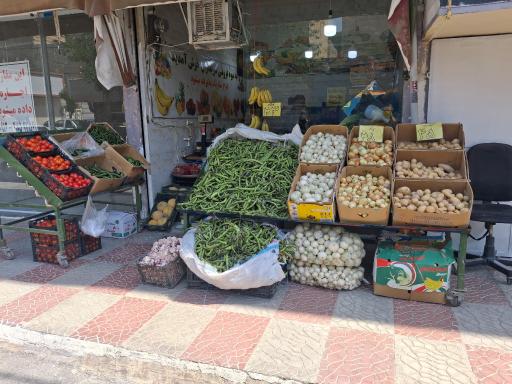 عکس میوه سرای سید