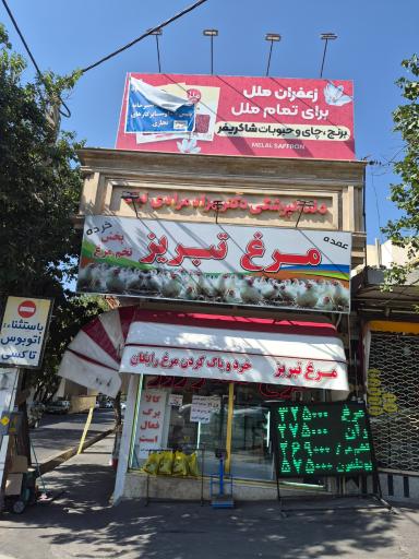 عکس برنج شاکری فر
