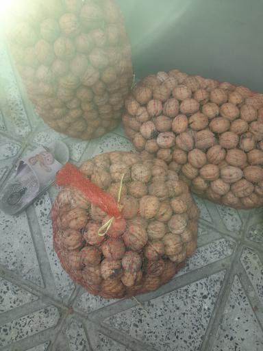 عکس گردو فروشی