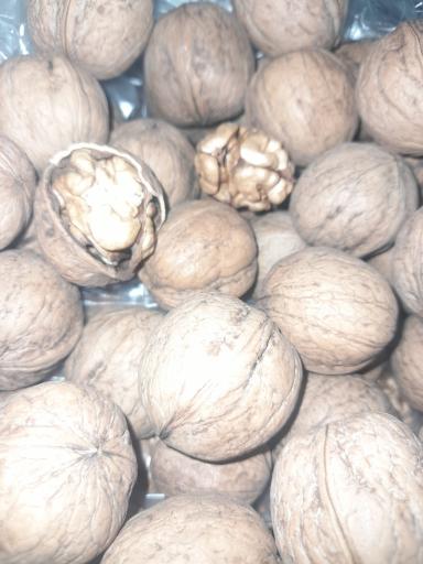 عکس گردو فروشی