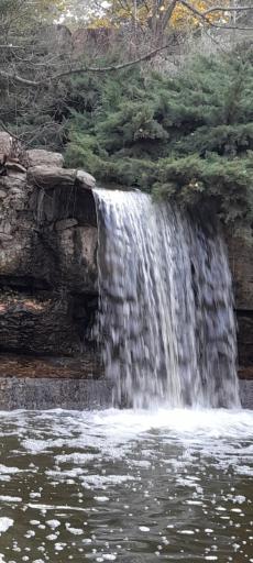 عکس آبشار باغ گیاه‌شناسی تهران