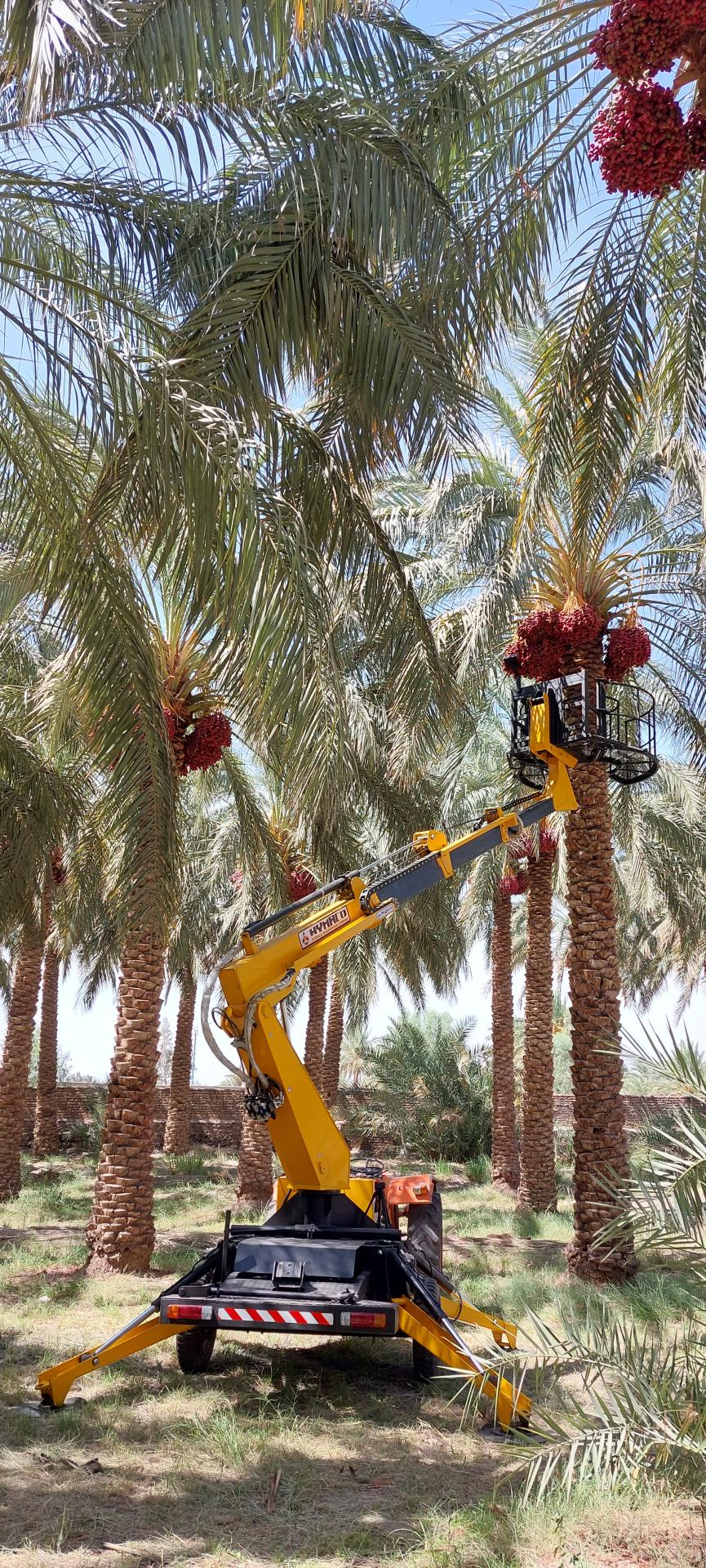 عکس گلارو مکانیزاسیون باغ و نخلستان Gelaro