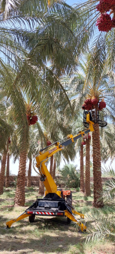 عکس گلارو مکانیزاسیون باغ و نخلستان Gelaro