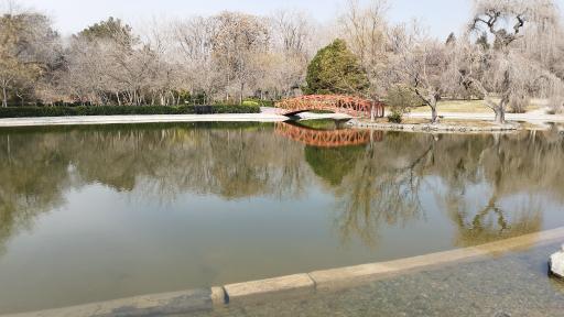 عکس آبشار باغ گیاه‌شناسی تهران