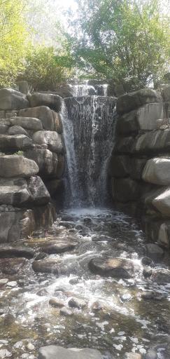 عکس آبشار باغ گیاه‌شناسی تهران