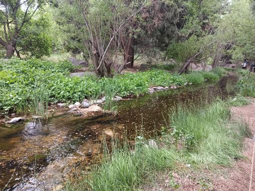 عکس آبشار باغ گیاه‌شناسی تهران