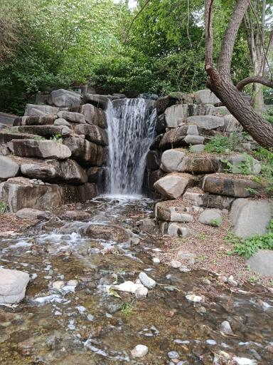 عکس آبشار باغ گیاه‌شناسی تهران