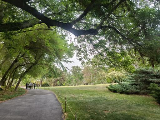 عکس آبشار باغ گیاه‌شناسی تهران