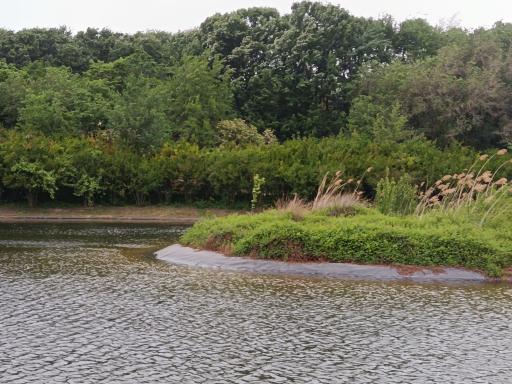 عکس آبشار باغ گیاه‌شناسی تهران