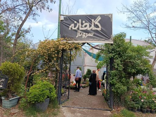 عکس آبشار باغ گیاه‌شناسی تهران