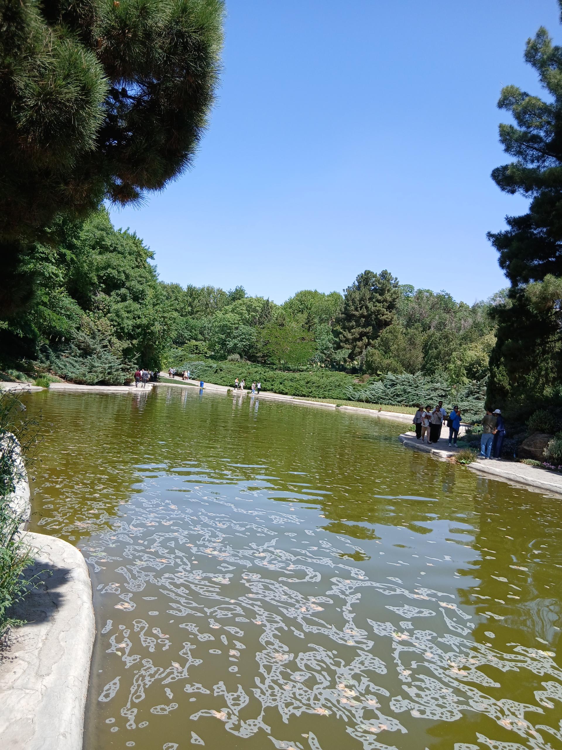 عکس آبشار باغ گیاه‌شناسی تهران