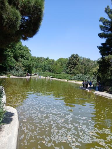 عکس آبشار باغ گیاه‌شناسی تهران