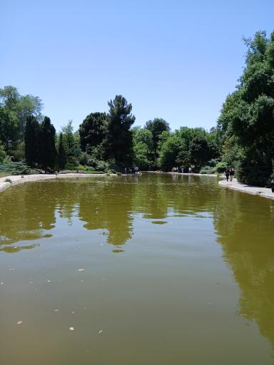 عکس آبشار باغ گیاه‌شناسی تهران