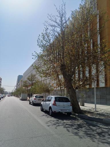 عکس اکو مال