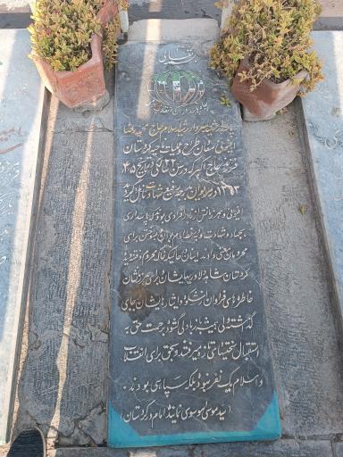 عکس مزار شهید محمدرضا افیونی