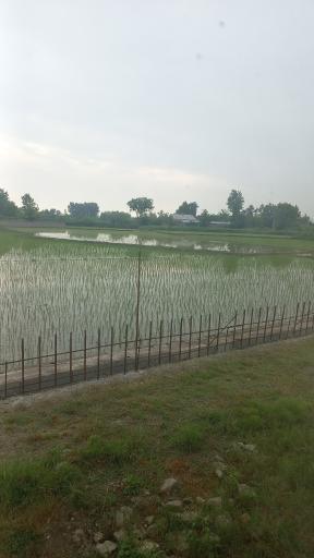 عکس سالستان