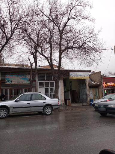 سمساری نادری