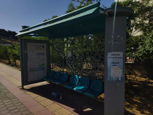 مجتمع ولایت