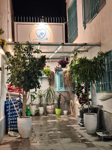 عکس دامپزشکی دکتر وت 