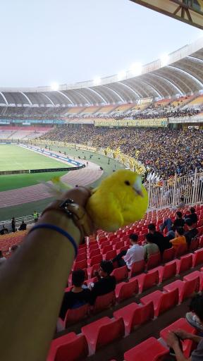 عکس استادیوم نقش جهان