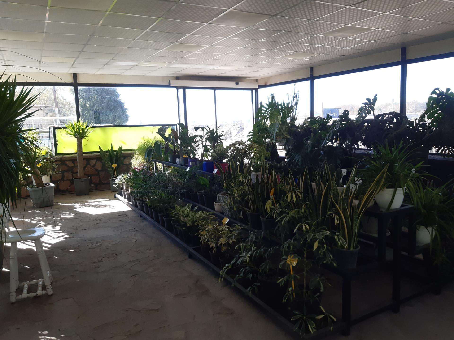 عکس مجتمع کشاورزی رویان