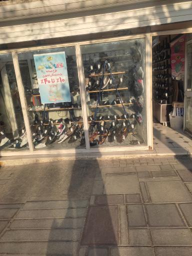 عکس کفش ملی 1554