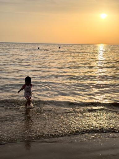 عکس ساحل صخره ای