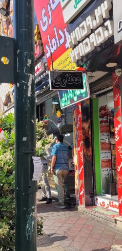 عکس گیاهان دارویی میرداماد