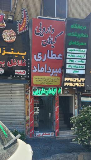 گیاهان دارویی میرداماد