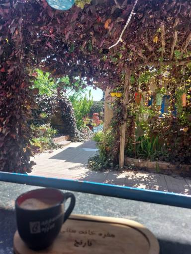 عکس سفره خانه سنتی نارنج