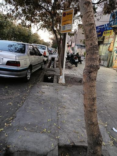 عکس  شهید هنرور 4