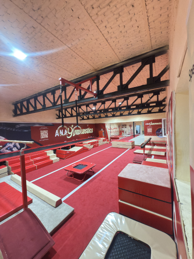 سالن تخصصی و استعدادیابی کودکان ژیمناستیک