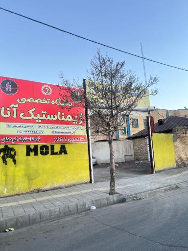 سالن تخصصی و استعدادیابی کودکان ژیمناستیک