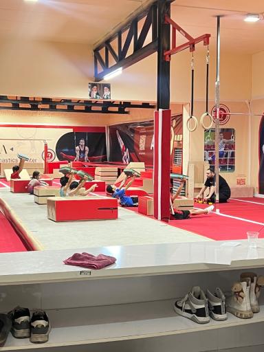 عکس سالن تخصصی و استعدادیابی کودکان ژیمناستیک