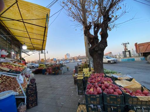 عکس میوه فروشی افشین اوریادی 