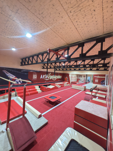 عکس سالن تخصصی و استعدادیابی کودکان ژیمناستیک