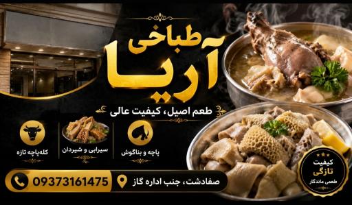 عکس طباخی آریا