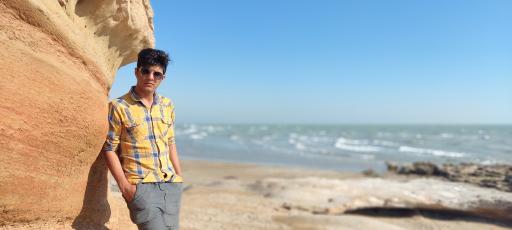 عکس ساحل صخره ای