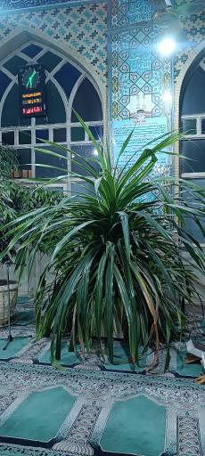 عکس مسجد جامع امیرالمومنین (ع)