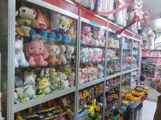 عکس سیسمونی جیریایی