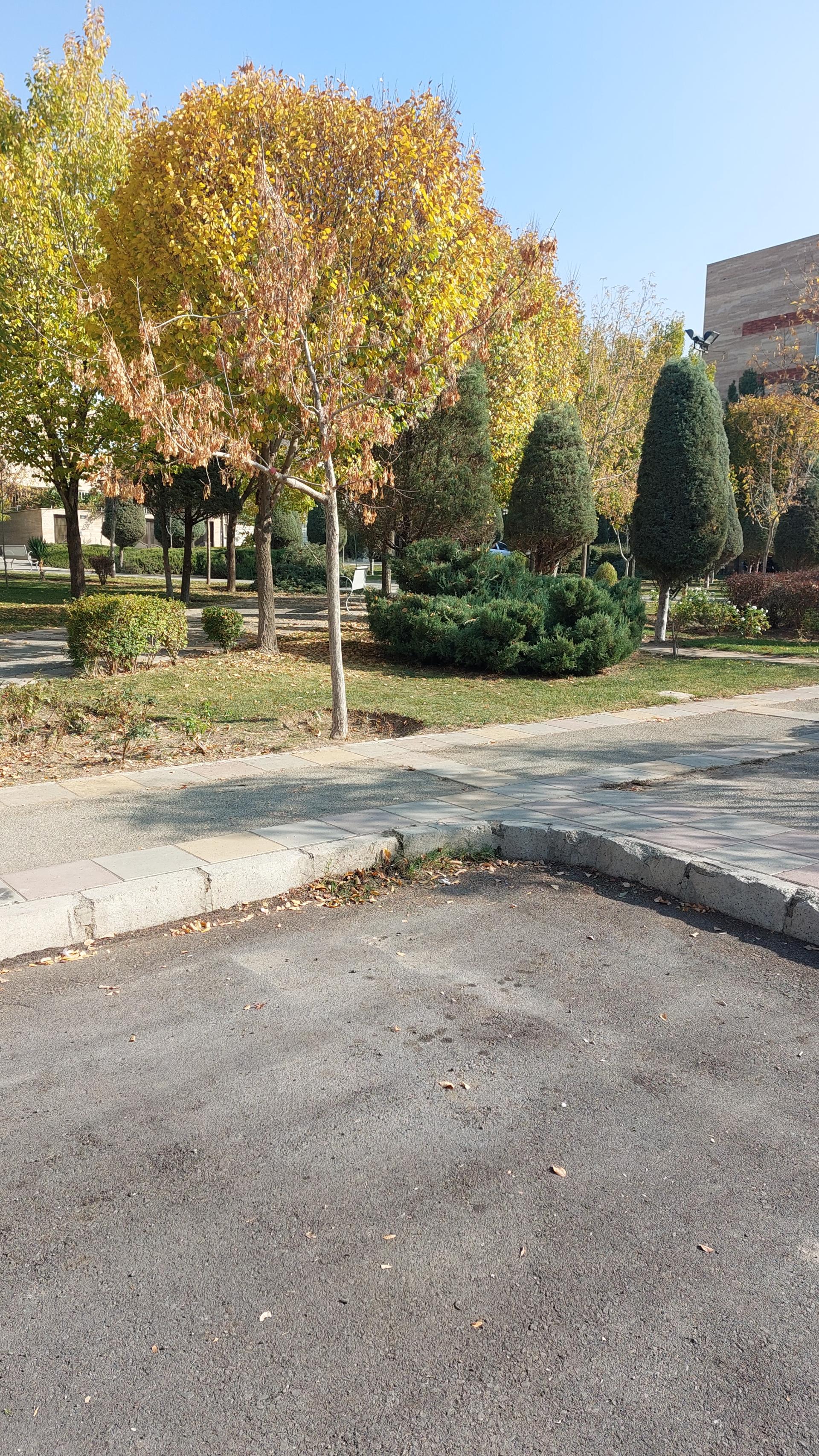 عکس بوستان لاله