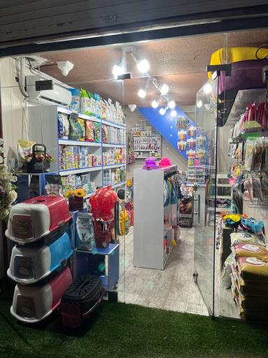 عکس پت شاپ دنیای فرشته ها