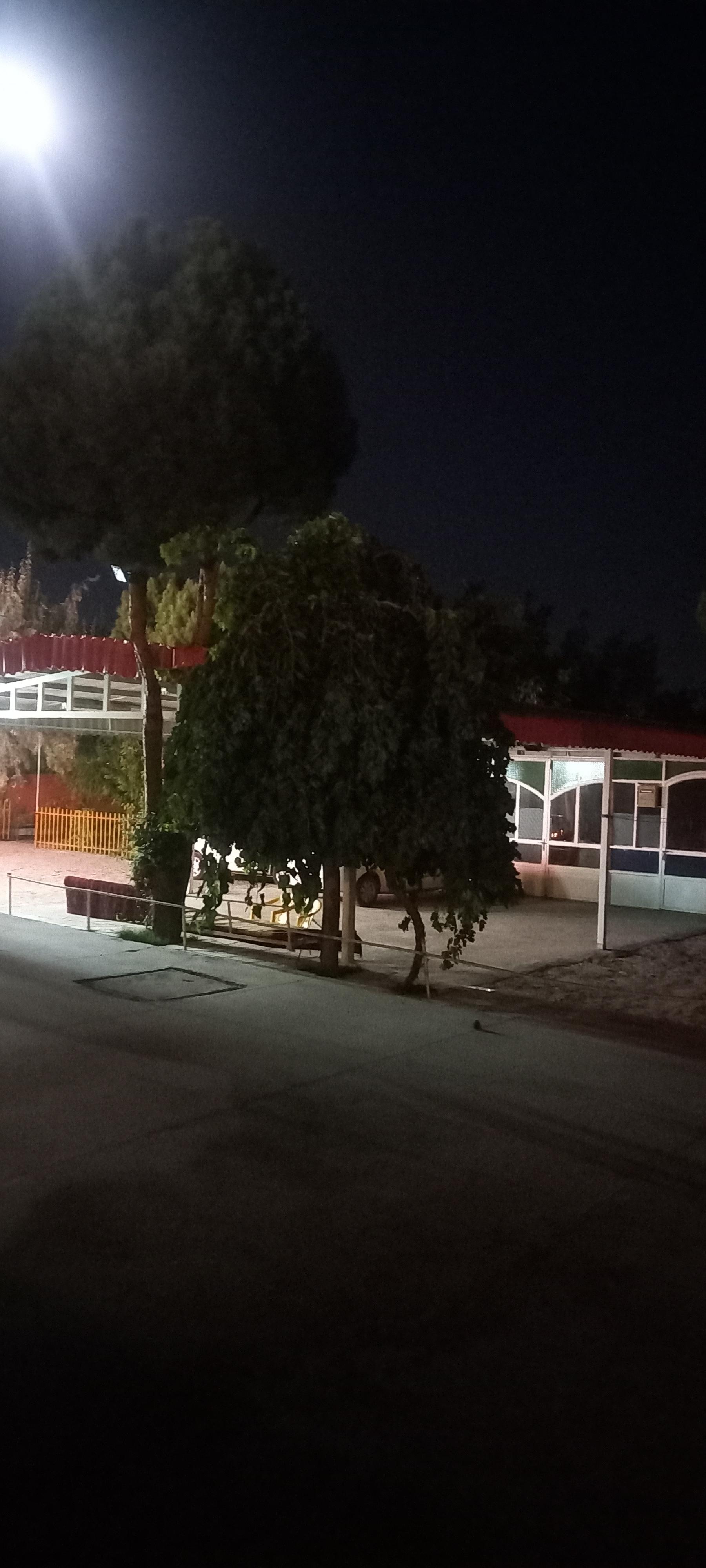 عکس تالار سعید (باغ بهشتی)