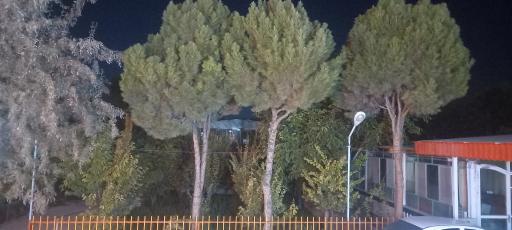 عکس تالار سعید (باغ بهشتی)