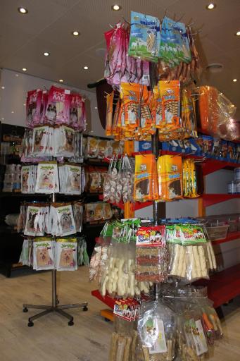 عکس پت شاپ شبانه روزی درین