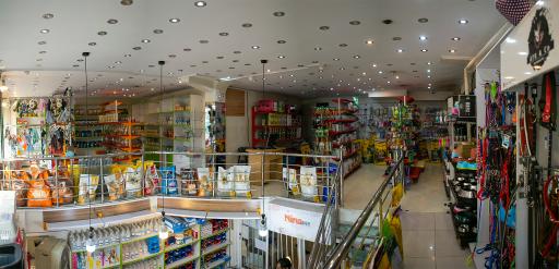 عکس پت شاپ شبانه روزی درین