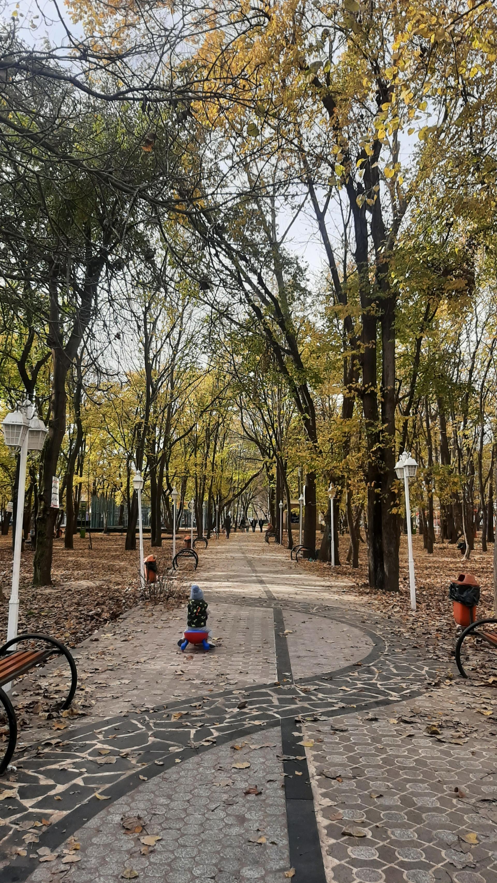 عکس پارک طاهباز